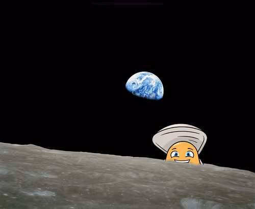 Item #63740481557076843171748722744674070771974254949917767657960007327902632771585 Media