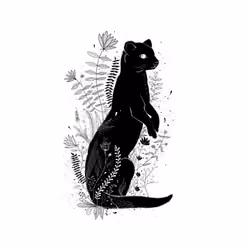 The Weasel