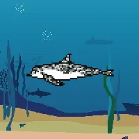 Etherfishing