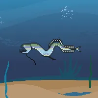 78964944229926021655968168462037545876501657311134209832205588780366902067201