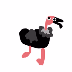 Vulture