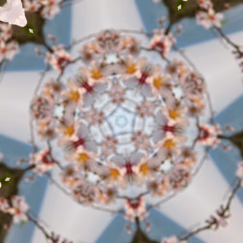 Almond Flower