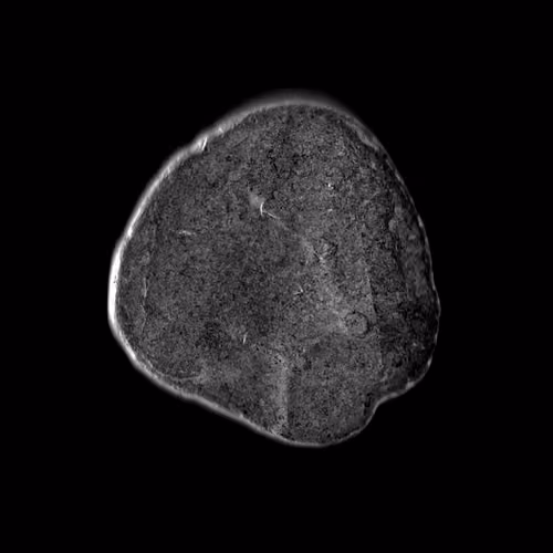 Rock 35 - Oscar