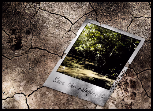 Item #58707814367887345471710449454606946637471819871717913111398372306626602336257 Media