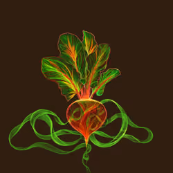 Eat a Beet
