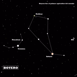 BOYERO