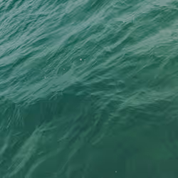 Postcard 6 - sea