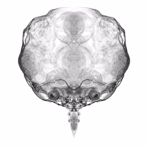 Item #85859191866638808365331437874953228966785819470149775310971061496800203505665 Media