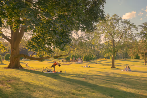 Item #91642827889227561886053898731104938405372263547258371444239634041943132995585 Media