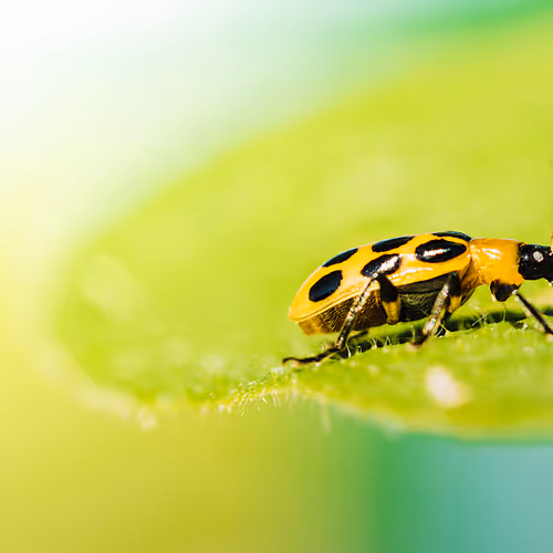 105090597216655980557633683149084672751347825439893935605656298047408143597569