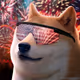 38008312248830884411526995804160062708898151065768343694246411167152048439297