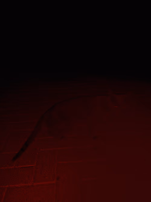 Item #110527105663294797787994242395631038539873187320311938909058540811118541012993 Media