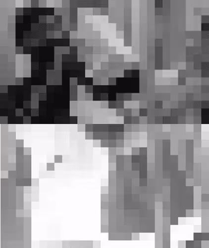 Another White