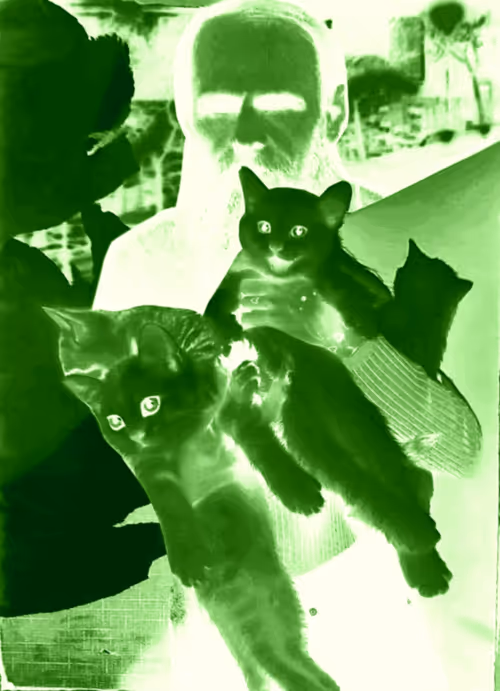 Item #4747115153065902387790593868107453782499677024781155622119190409515357962241 Media