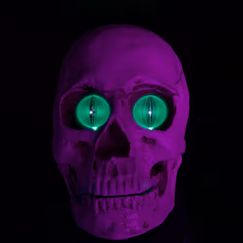 Item #42624140206628529645765348505885784059980750193474123088310997238176905428993 Media