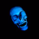 56828484325117371065207255494436320755418979919550360471288088816386761031681