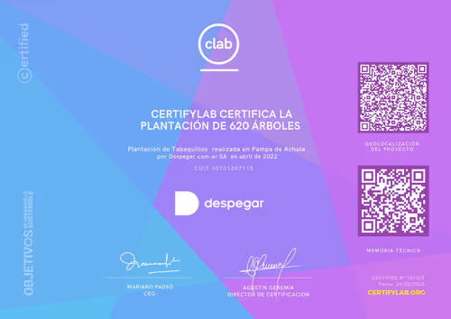 Item #82174489999726127748053989005133901530503286489307655945421605359257301024769 Media