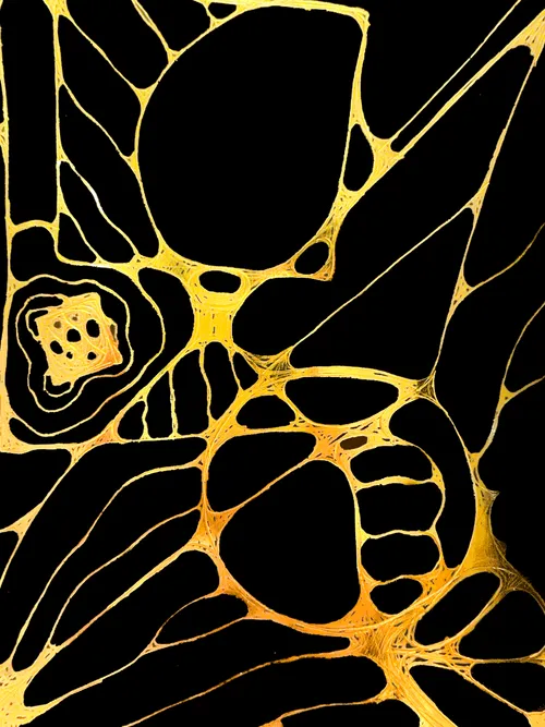 Item #60447415217477959408772772467770452871177809879771206339827648280278117384193 Media