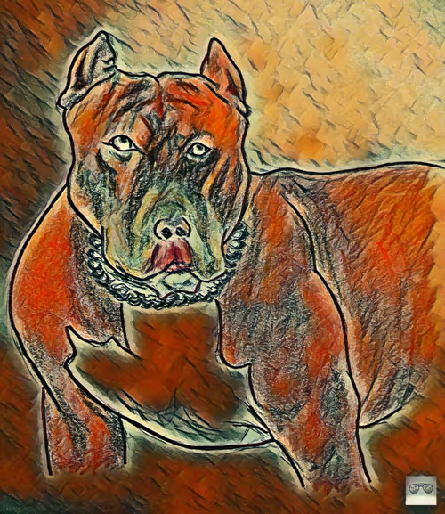 Item #73751005446205567110562479893401256064422636814134837291846161772796918628353 Media