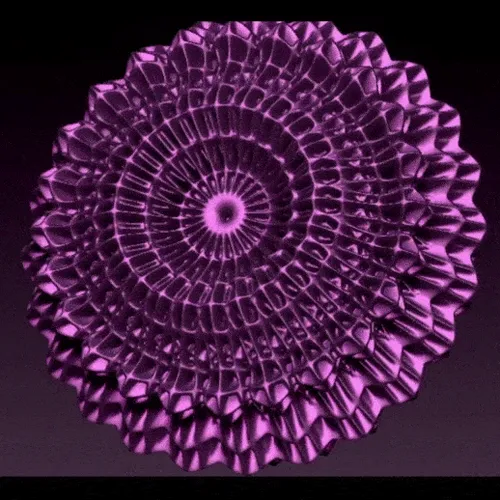 Item #97919126274126302224951180839576190112149877101595383406669397445571166339073 Media