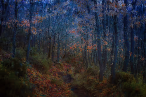 Item #97716626271628656101577116268185940007282338443253569412665055826410161045505 Media