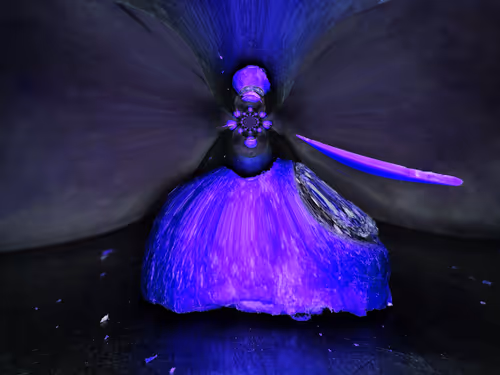 Item #67457553150443021914092587022250176347061355639032054621716075940974956642305 Media