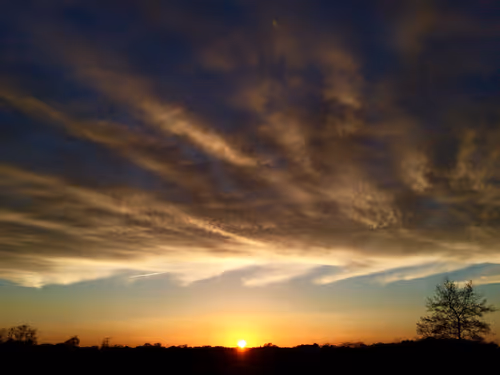 Item #79655167907517619364713975577317788096264741034631426669771217877831847510017 Media