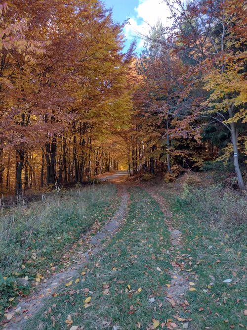 Item #66986805540812077798034480199929320833046015075077578099897003040765319839745 Media