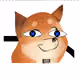 35588395288604329144700878484478783201611469789683669105814916890595378069505