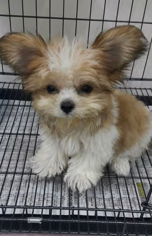 Item #21607923784025543658024067331009769919395041958272689574271021067185319575553 Media