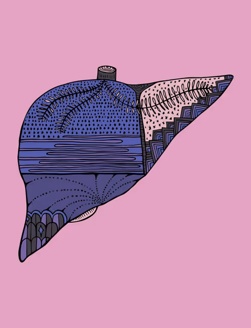 Item #28824502245252267217549902857601847351510039266873569823091148499878481494017 Media