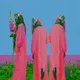 Glitch Witches