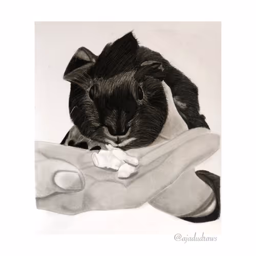 Item #60252950802118407468119049908594719643095991940499965350429669443878007078913 Media