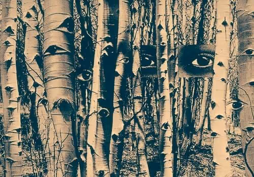 UnnamedCrypto420 Collection - old