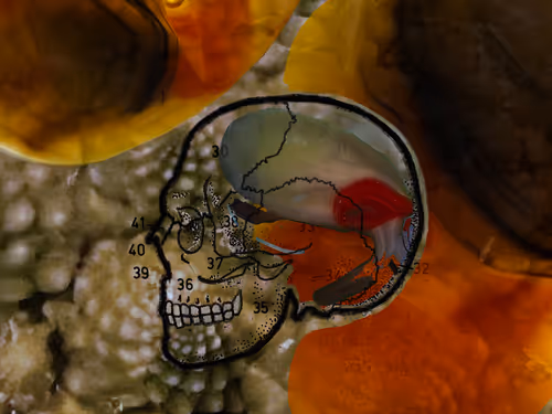 Item #101722242459461766671850244672997948412133570446471513908012687096724242563073 Media