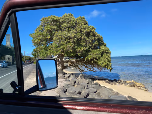 Item #108725479018417469869943483529144734701431927425652885584728494928191599673345 Media