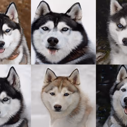 55525875118330994482032925216761404736570211771565447267945268439987190235137