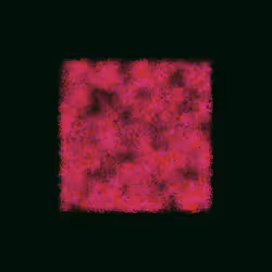 12032733712256437664215437925069129638151898554142308319368358789396287193089