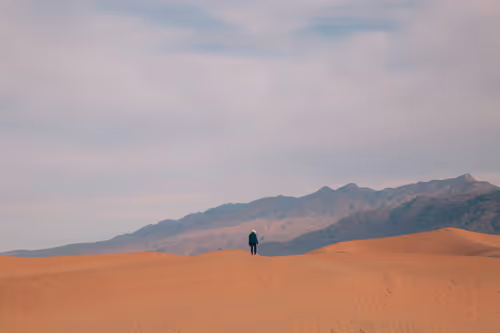 Item #74560649326607298578853393268143794665781666052470848563380919819862701768705 Media