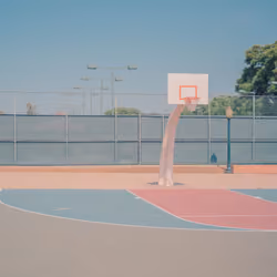 The Park