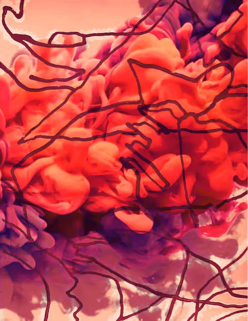 Item #71473770008679921151090467737099838330396588898661574909868543895169629421569 Media