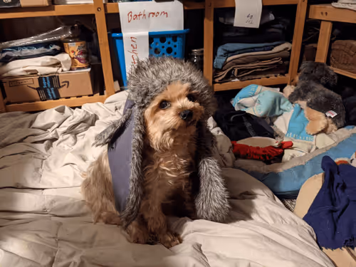 Item #79160273997787957836154565878224024328872719786714255845784138779595714330625 Media