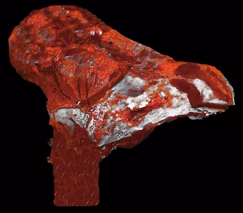 Item #18063966590187803564983313972252836895288362682890717819958697112015976005633 Media