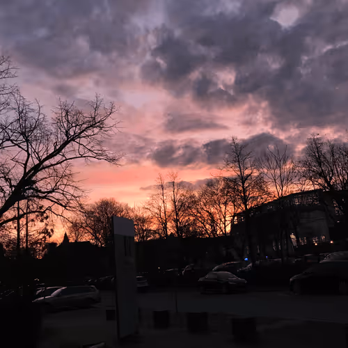 12 Unfiltered Dreams