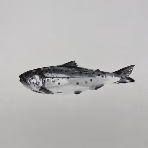 Item #65141676691605170785706412493290795192432691049718075592559197219252760215553 Media