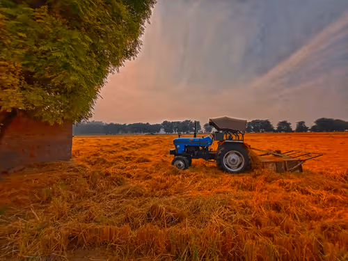 Farming Life: The Soul of the Countryside