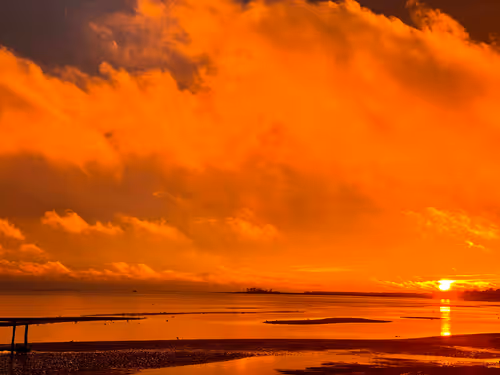 Item #44100607616184526410662414915687006809759328880516455582196249740334981971969 Media