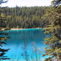 Glacial Spring