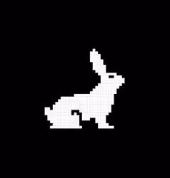 follow the white rabbit II