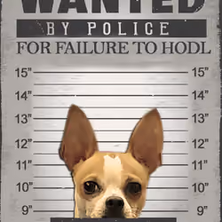TACO_69_ARRESTED